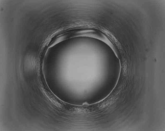 X0000087630442200705031449