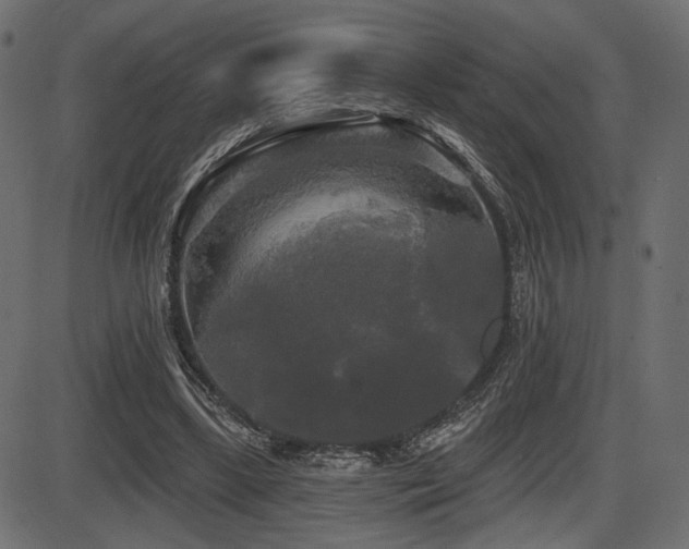 X0000087630443200705031449