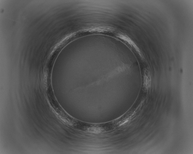 X0000087630444200705031449