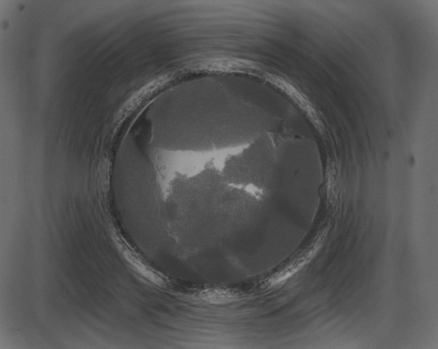 X0000087630445200705031449