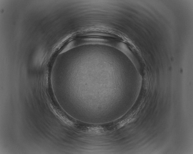 X0000087630446200705031449