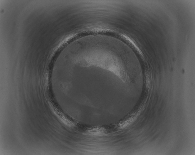 X0000087630447200705031449