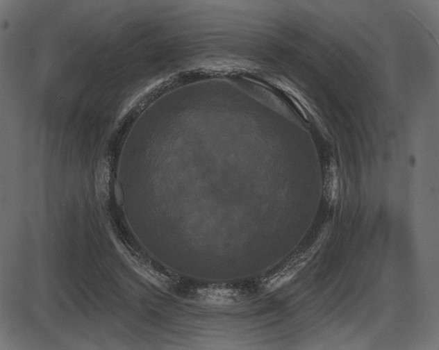 X0000087630448200705031449