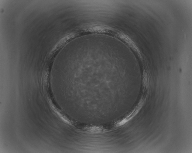 X0000087630449200705031449