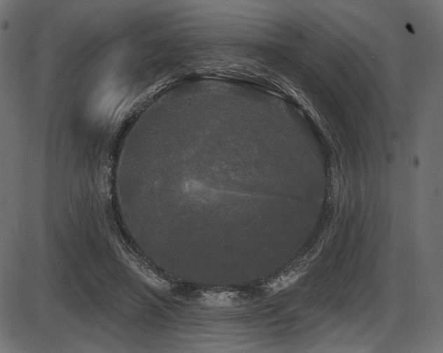 X0000087630450200705031449