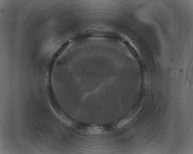 X0000087630451200705031449