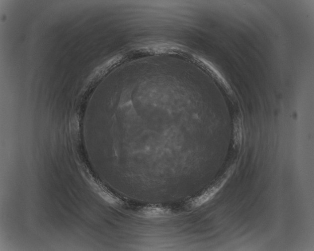 X0000087630453200705031449