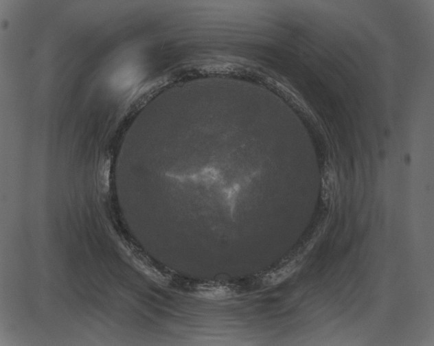 X0000087630454200705031449