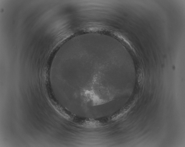 X0000087630455200705031449