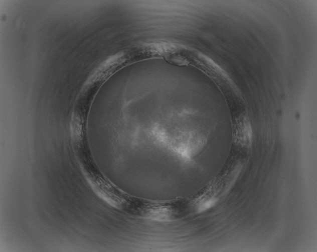 X0000087630456200705031449