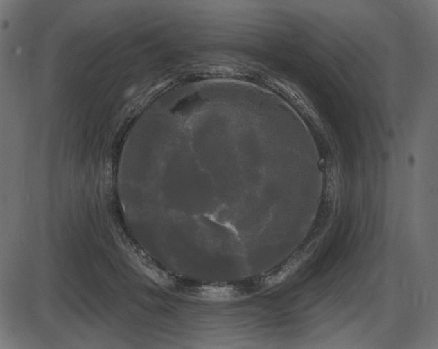 X0000087630457200705031449