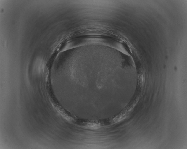 X0000087630458200705031450