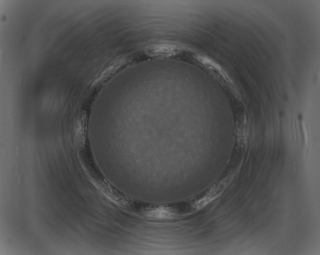 X0000087630460200705031450