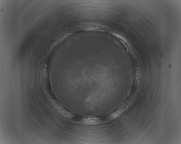 X0000087630461200705031450