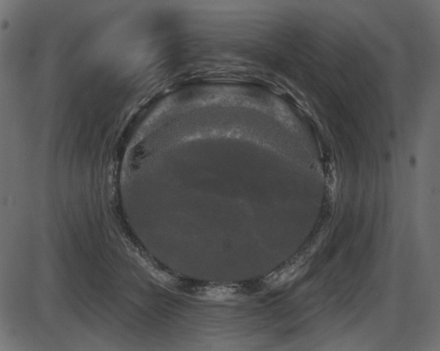 X0000087630462200705031450