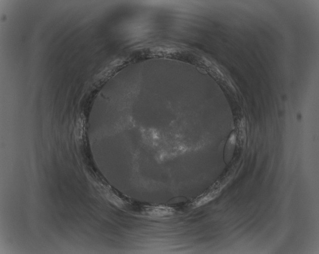 X0000087630463200705031450