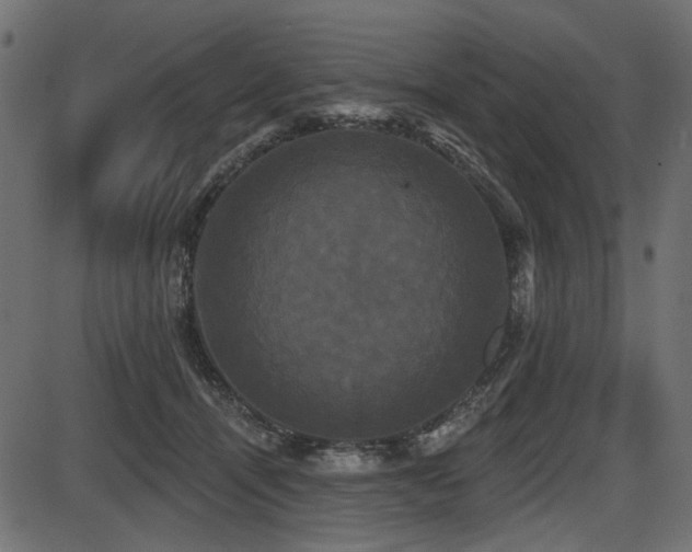 X0000087630464200705031450