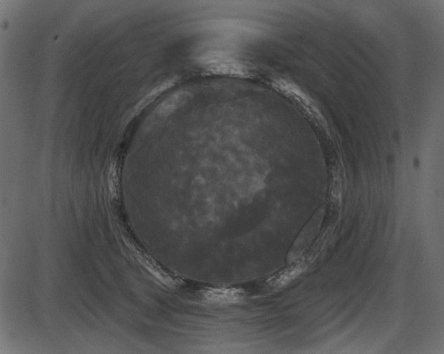 X0000087630465200705031450