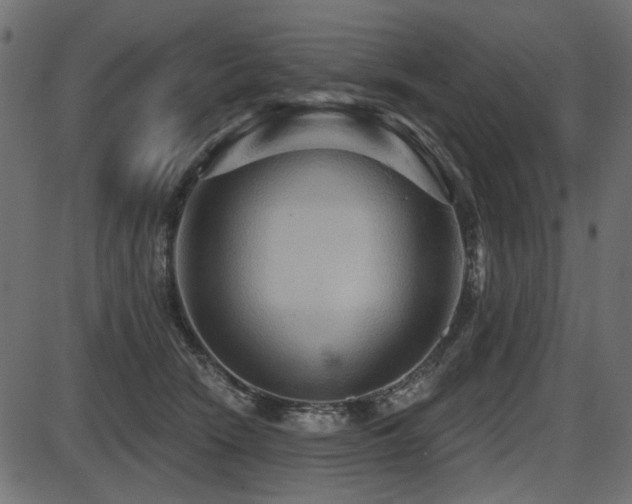 X0000087630466200705031450