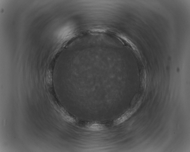 X0000087630467200705031450