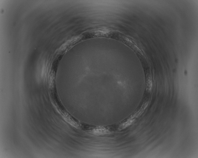 X0000087630468200705031450