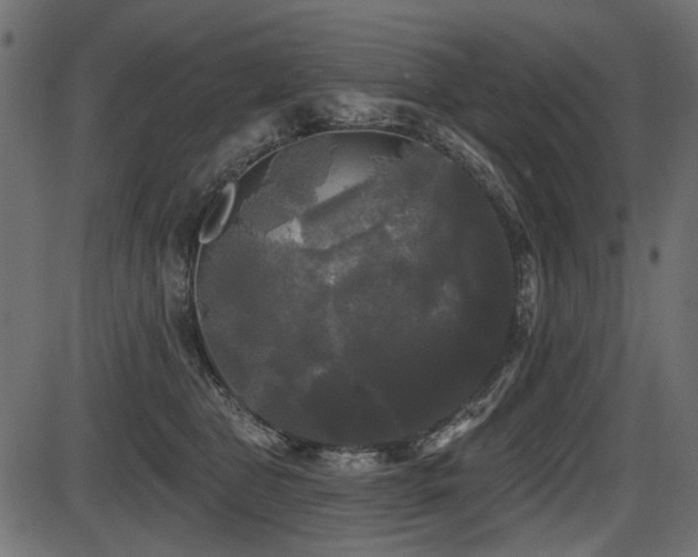 X0000087630469200705031450