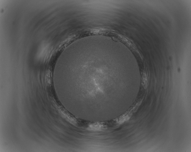 X0000087630470200705031450