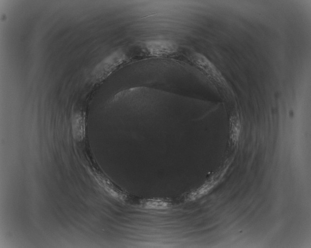 X0000087630471200705031450