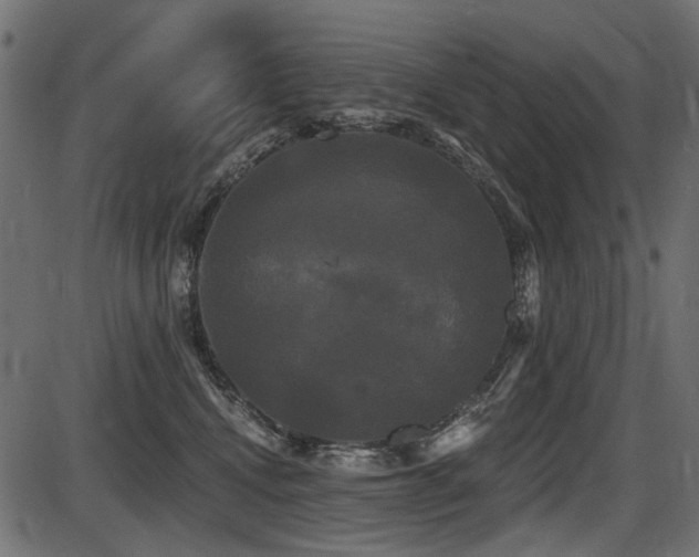 X0000087630472200705031450