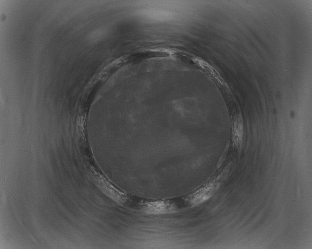 X0000087630473200705031450