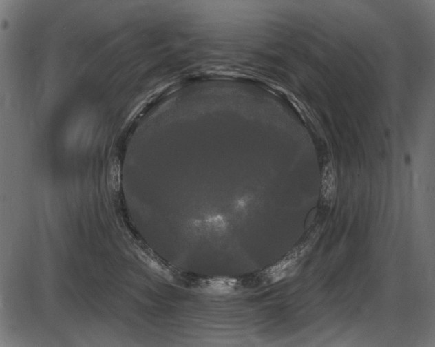 X0000087630474200705031450