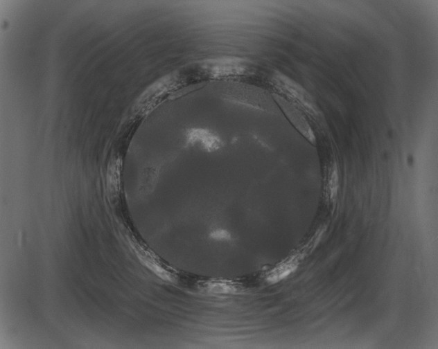 X0000087630475200705031450