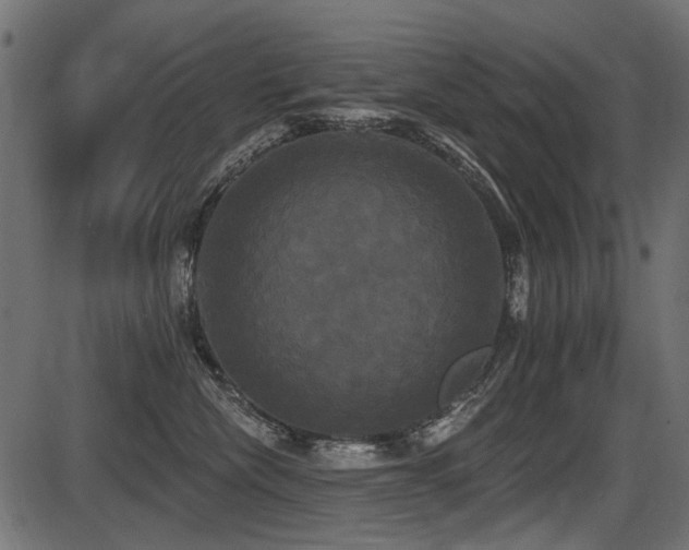 X0000087630476200705031450