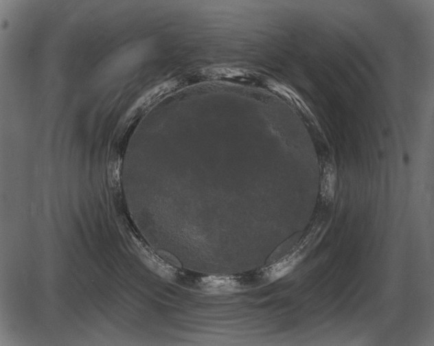 X0000087630477200705031450