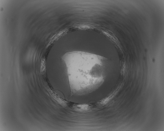 X0000087630478200705031450