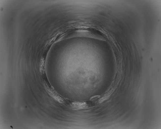 X0000087630480200705031450