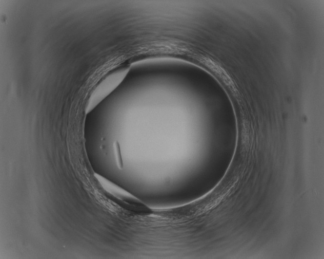 X0000087630481200705031449