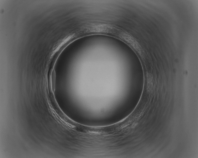 X0000087630482200705031449