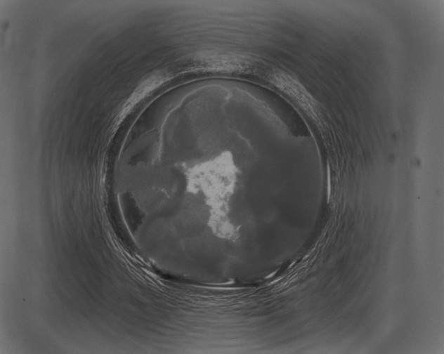 X0000087630483200705031449