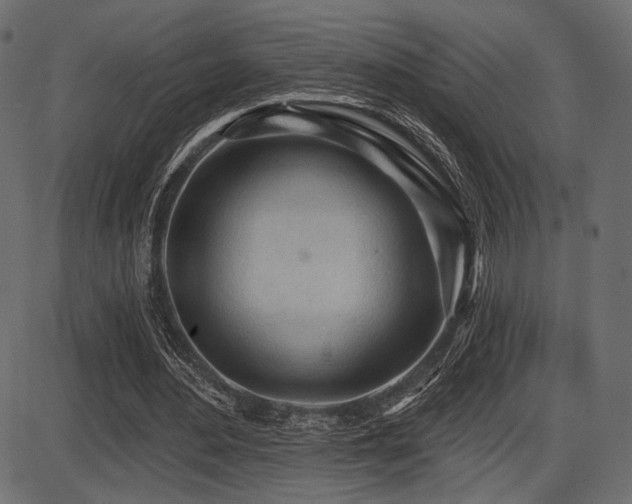 X0000087630484200705031449