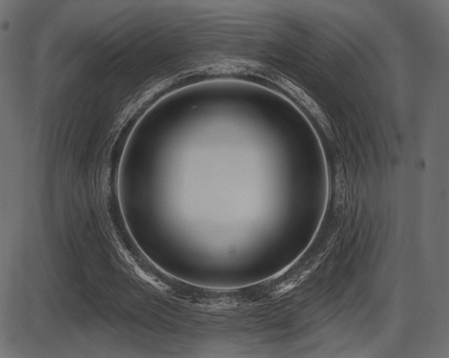 X0000087630485200705031449