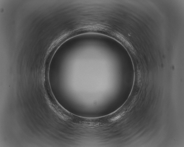 X0000087630486200705031449