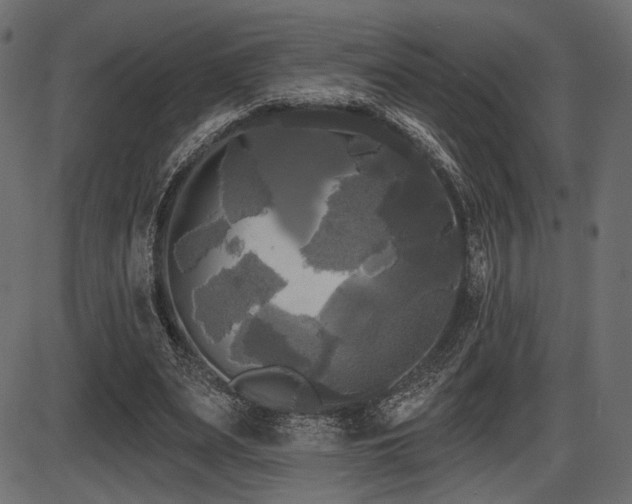 X0000087630487200705031449