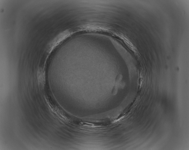 X0000087630488200705031449