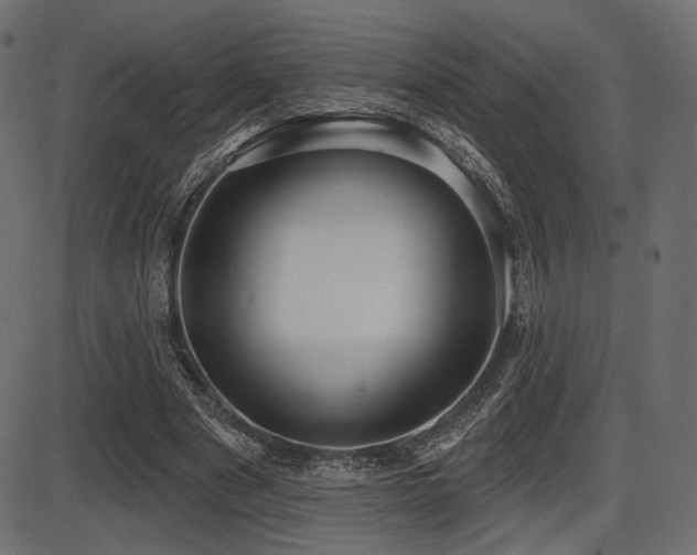 X0000087630489200705031449