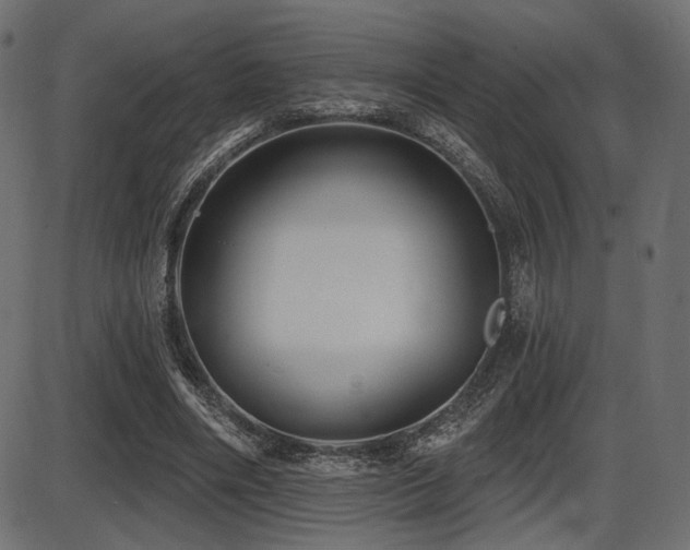 X0000087630490200705031449