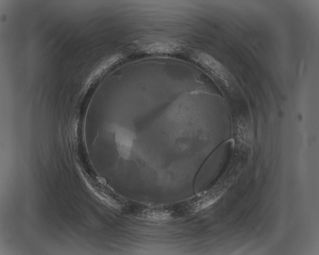 X0000087630491200705031449