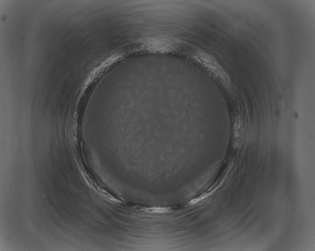 X0000087630492200705031449