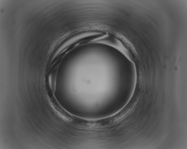 X0000087630493200705031449