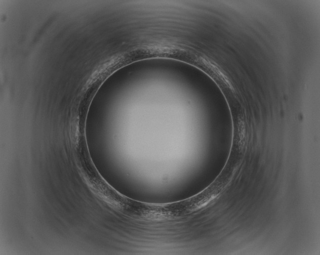 X0000087630494200705031449